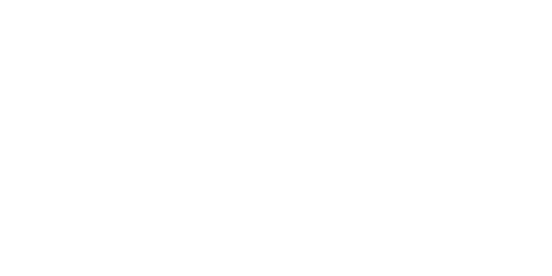Weißes Logo von Endress + Hauser, Mess- und Automatisierungstechnik.